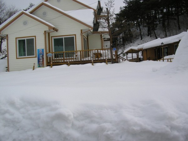 110218_sonamups133023.JPG